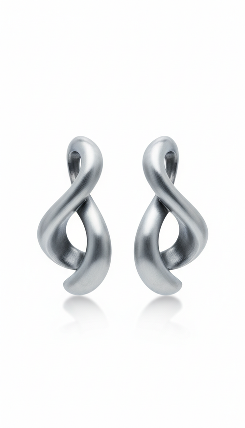 Sculpted Stainless Steel Earrings