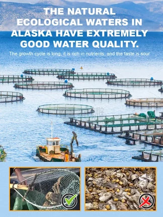 Alaskan Snow Crab Ready-to-EatCrispy Crab-JR-L6